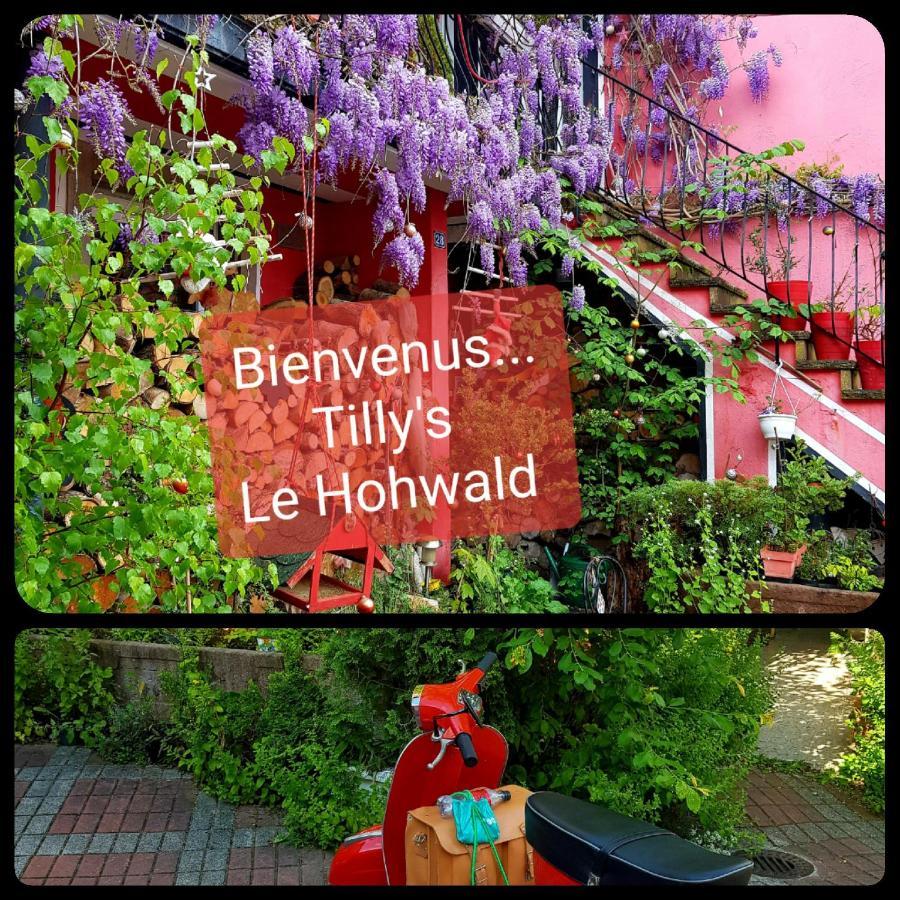 לה הוואלד Tilly'S B&B And Apartment House מראה חיצוני תמונה